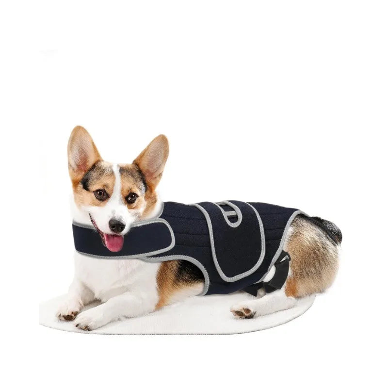Dog Back Brace Support