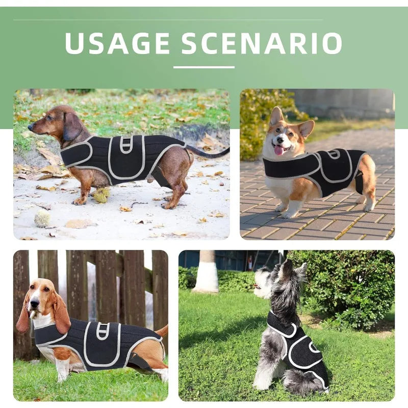 Dog Back Brace Support