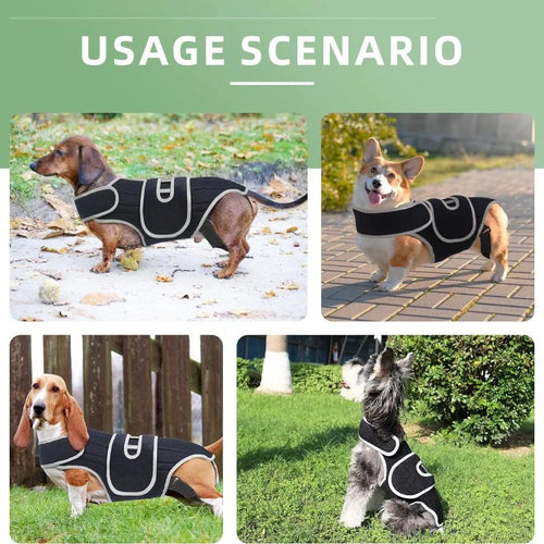 Dog Back Brace Support