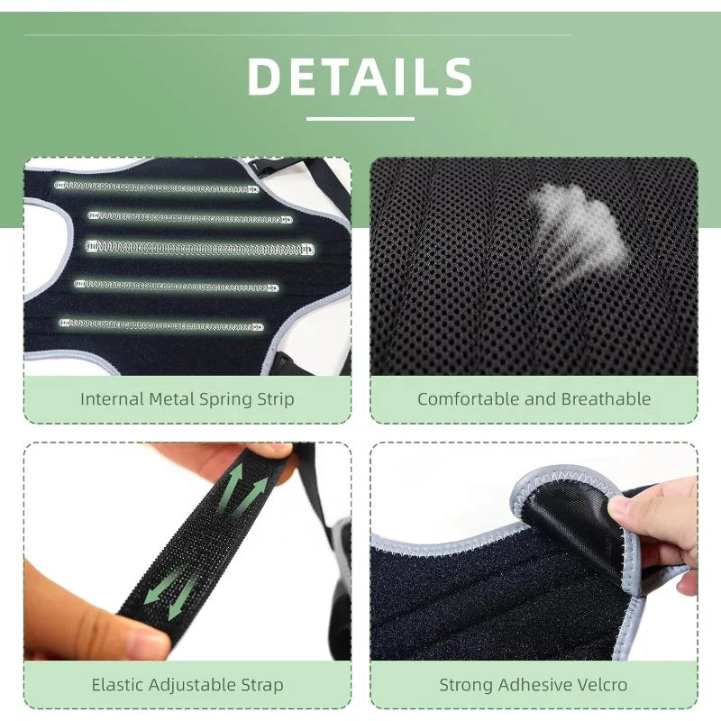 Dog Back Brace Support