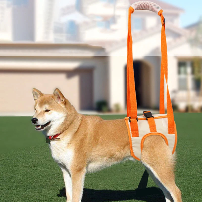 Dog  Leg Brace Help Walking Harness
